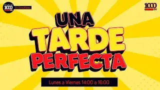 UNA TARDE PERFECTA