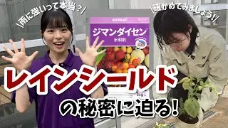 ジマンダイセン水和剤が耐雨性に優れる理由、徹底調査スペシャる～！独自の製剤技術「レインシールド　テクノロジー」とは？