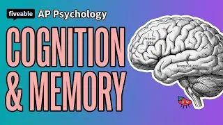 AP Psychology CRAM &ndash; Memory & Cognition