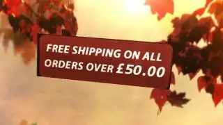 Christmas Shopping Start Buy Morphy-Richards-Large-Storage-Canister-Copper From Gadgetize.co.uk