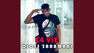 C4 Vie