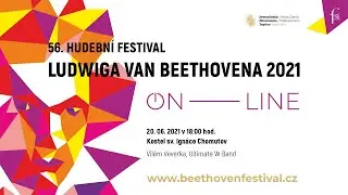 11. FESTIVALOVÝ KONCERT - VILÉM VEVERKA A ULTIMATE W BAND - CHOMUTOV (20.06.2021)