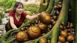 TIMELAPSE &mdash; 366 Days of Catching Tons of Snails and go to sell at the market | Luna Harvest