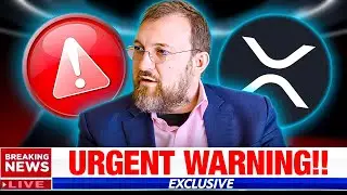 XRP: Why Is Charles Hoskinson Issuing This Warning?! Crypto Holders Must Listen (CRITICAL)