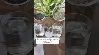 Chia seeds & Sabja seeds different ?