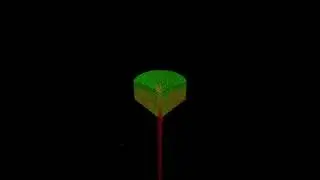 Hopper flow simulation with no static friction