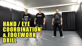 Improve Your Hand /Eye Coordination and Speed for MMA.