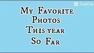 Your favorite photo so far