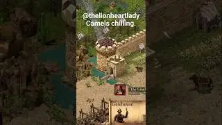The camels learnt how to open the door | Stronghold Crusader Definitive Edition #game #stronghold
