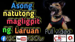 Asong Natutong magligpit ng Laruan (Fullvideo) #K2CFur #applyinggetcommand