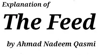 Explanation of "The Feed" by Ahmad Nadeem Qasmi