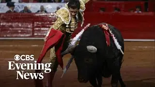 Mexico City bans violent bullfighting
