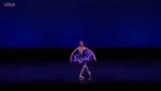 Sydney Dolan YAGPs 