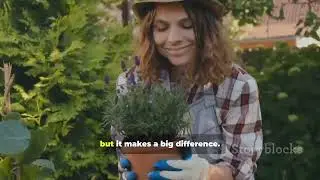 Build your Plug Hydroponics system! #Plughydroponics