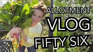 Weedkiller Crisis, Harvesting in the Polytunnel and ALL the Weather || Plot 37 (Episode 56)