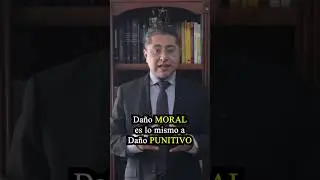 Da&ntilde;o moral es lo mismo a Da&ntilde;o punitivo