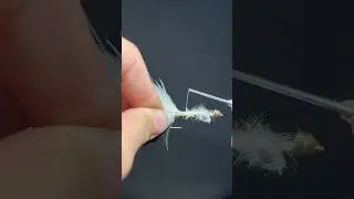 Easiest Multi-Species Fly to Tie: Wooly Bugger