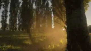 Jaymark Bendal - Lucky (Official Visualizer)