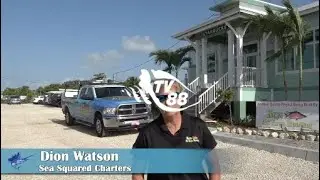 SeaSquared Charters offers a wide range of fishing trips for all ages here in Marathon, Florida Keys