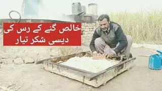 خالص گنے کے رس سے دیسی شکر تیار#punjab #cultur #natrul #viral #trend #shorts #reels 