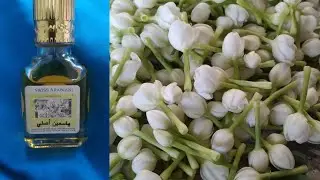Best AFFORDABLE Jasmine Attar by SWISS ARABIAN &hearts; 🇦🇪 'Yasmeen Asli'