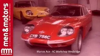 Marcos Ace - AC Workshop Weybridge