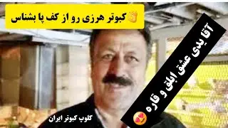 🚫 کبوتر خارجی پیش ما جایگاهی نداره ، کبوتر فقط ایرانی iranian high flyers pigeon 
