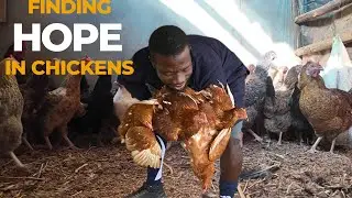 Finding Hope In My Backyard Chickens || A Story Of Starting Small!