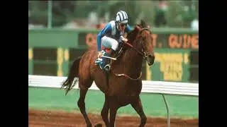 Zabeel