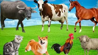 Relaxing Farm Animal Sounds: Buffalo Cow Horse Dog Cat Rooster Sheep &ndash; Peaceful Nature Music