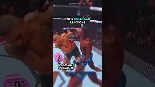 TOP 5  Joe Rogan Reactions  #ufc #mma #knockout