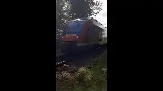🚆 Triebwagen Typ Lint DB 648 841-4 'M&ouml;lln' f&auml;hrt am B&uuml; Wulfshagen als RE 72 in Richtung Flensburg