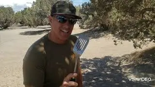 Costco's Kirkland Signature 100% Grass-fed Beef Patties | Chef Dawg Uncut