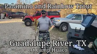 Guadalupe River, TX Camp Huaco - Palamino and Rainbow Trout