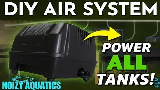 How to Build a Central Air Pump Setup for Aquariums