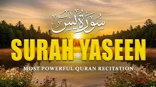 Surah Yaseen Full (سورة يس) | Heart-Trembling & Most Beautiful Quran Recitation | Qirat Quran Tv
