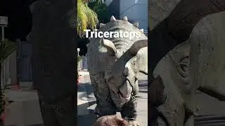 Triceratops Raptor Encounter @ Universal Studio Hollywood #youtubeshorts #viral #trending #universal