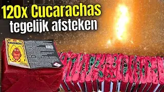 120x Cucarachas tegelijk | Mega Vuurwerk Project