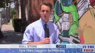 In the Field with Gull Stone - Street Taggers Missing 1-31-13