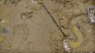 Channelized river model, sedimentology