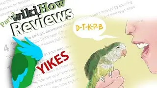 Teaching a Bird to Talk | Wiki Reviews