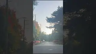 Mississauga Luxury Drive ☀️ | Rattray Estates &rarr; Meadowwood Park #shorts