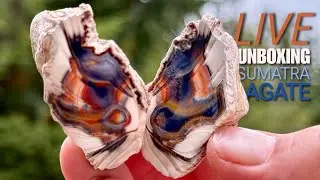 LIVE UNBOXING 50kg of Sumatra Agate! | Wandering Stones & Agate Fix Treasure Hunt