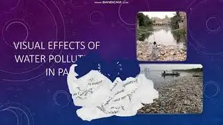 Environmental issues in Pakistan Final