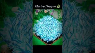 1000 electro dragons 🐉 #mjennet #cocshorts