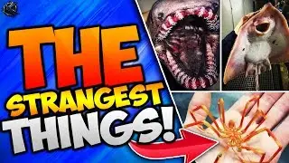 THE STRANGEST THINGS....(Double De-Atomizer Strike Gameplay)