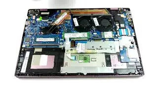 🛠️ HP Pavilion 14 (14-ce3000) - disassembly and upgrade options