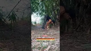 Commando push-ups 5 steps me 🔥/ #commando #pushups #tutorial #armynagar 🇮🇳 #shorts