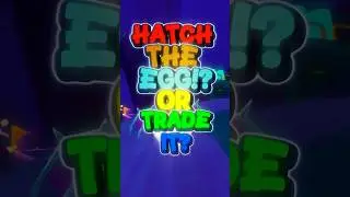 HATCH OR TRADE THE EGG!?