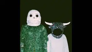 Slow Joy - Do I Wear You Out (Official Audio)